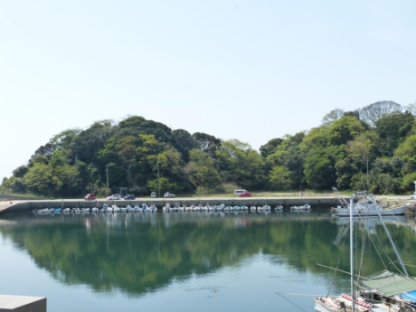 画像22
